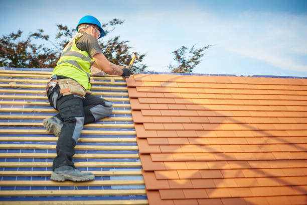 Best Gutter Installation and Repair  in Oxford, MS